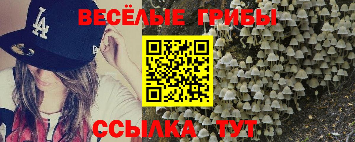 Галлюциногенные грибы мухоморы  Псилоцибиновые грибы MAGIC MUSHROOMS  Калининград  Вход с VPN 
