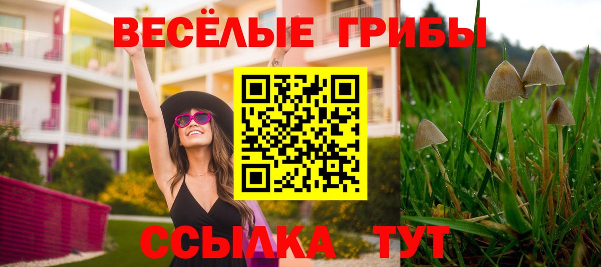 Псилоцибиновые грибы мухоморы Калининград