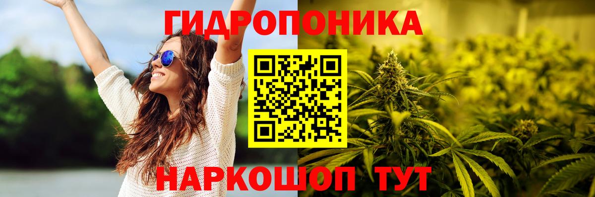 Каннабис Amnesia Калининград