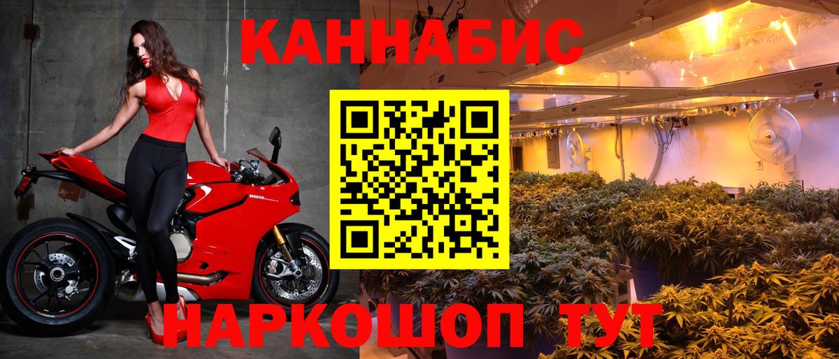 Бошки марихуана планчик  Шишки марихуана Amnesia  Вход с VPN  Марихуана VHQ  Калининград 